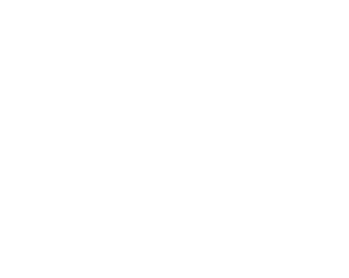 MAXION